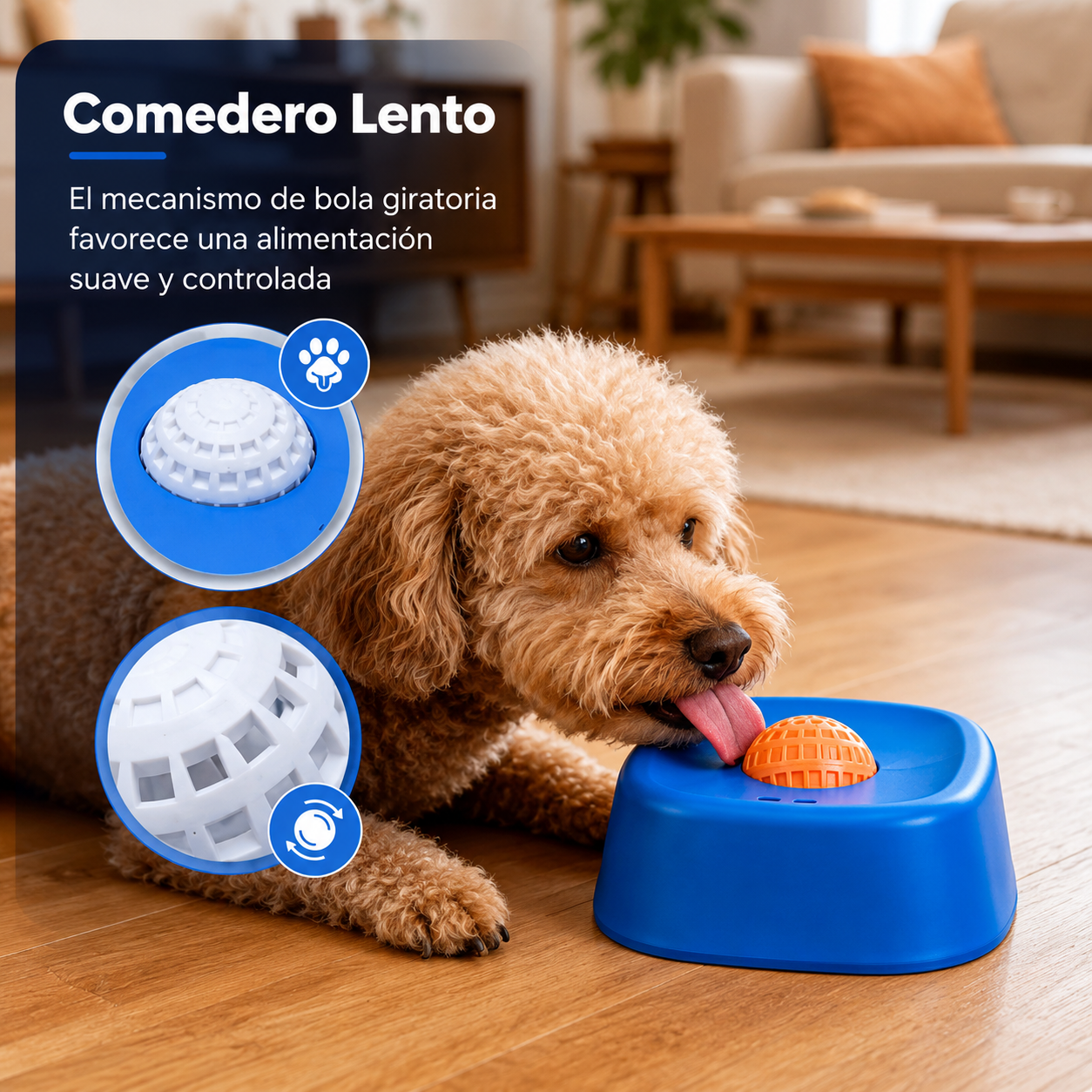 Plato Calmante para Perros – Hobby Doggy™