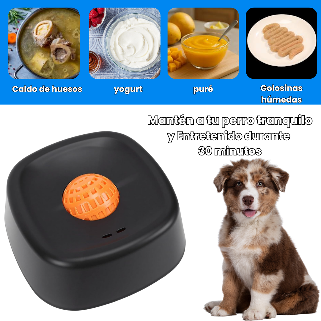 Plato Calmante para Perros – Hobby Doggy™