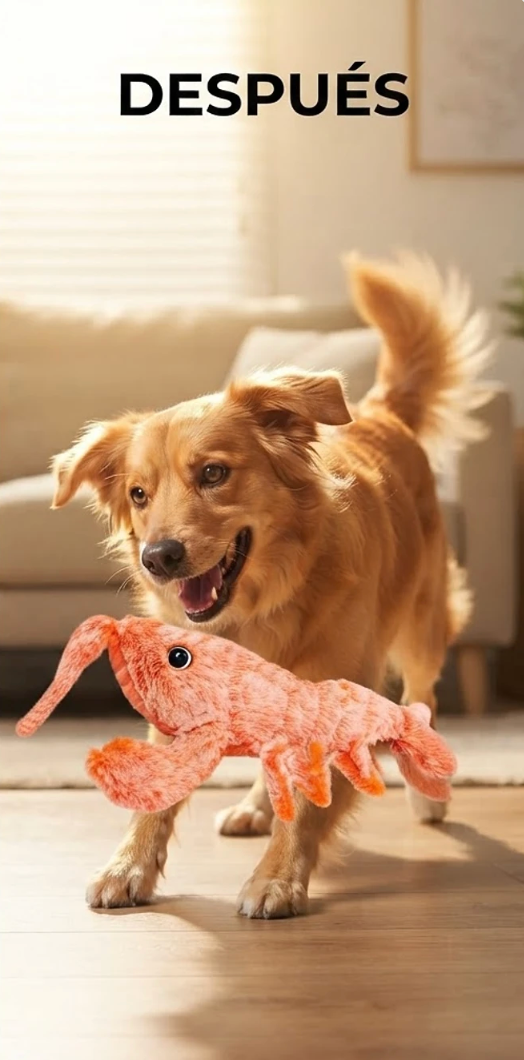 Perro feliz jugando solo con el Wiggly Lobster