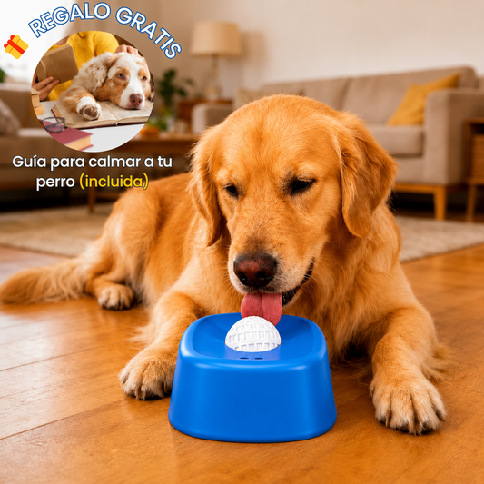 Plato Calmante para Perros – Hobby Doggy™