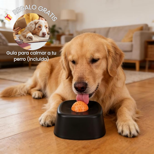 Plato Calmante para Perros – Hobby Doggy™