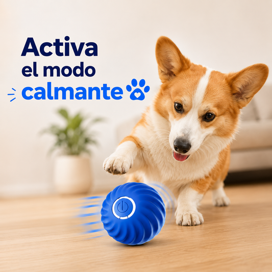 ZenBite™ | Pelota Calmante Inteligente para Perros