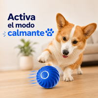 ZenBite™ | Pelota Calmante Inteligente para Perros