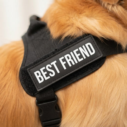 Tu perro no tira porque sea malo. Tira porque su arnés le PREMIA cada tirón. Y tú sin saberlo.