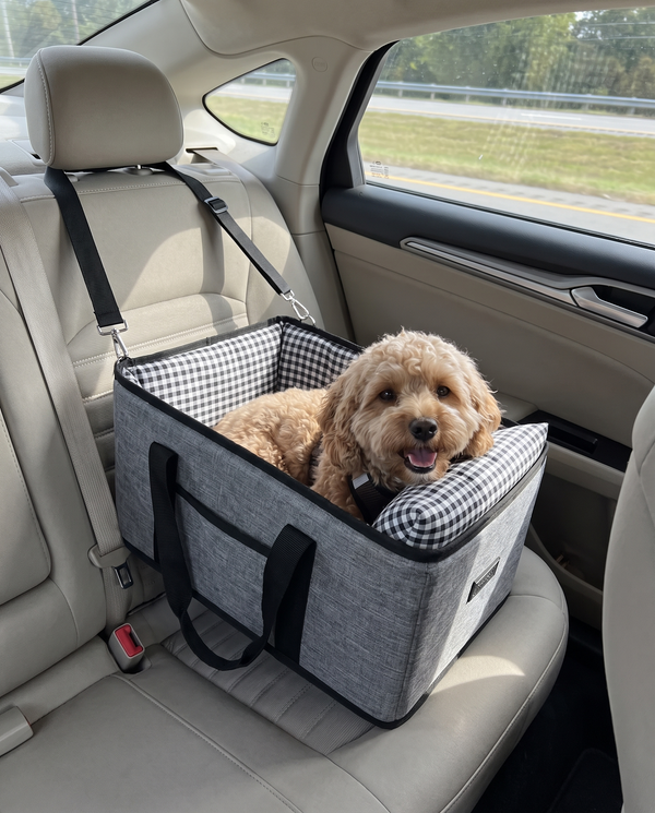 Perro cómodo en el transportín durante un viaje en coche