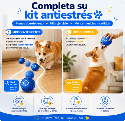 ZenBite™ | Pelota Calmante Inteligente para Perros